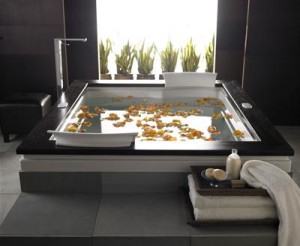 Jacuzzi Fuzion Drop In Soaking Tub