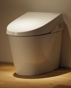 Toto Neorest 550 Dual Flush Toilet