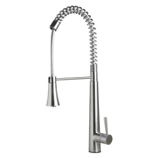 lavatory faucet with sprayer