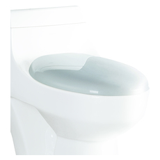 toilet seat in store