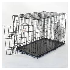 large dog crate nearby