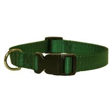 collar leash for dogs