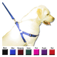 dog adjustable collar