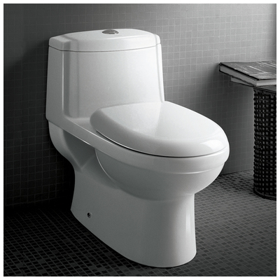 Toilets Ariel Platinum White TB222M 816606011414 toilet Complete Vanity Sets 