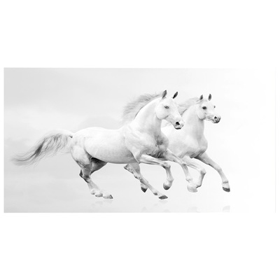 Wall Art Bellini Modern Living 108231941-40 Whitesnow Animal animals horse horses le Prints Print printed acrylic p 