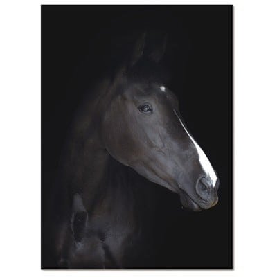 Wall Art Bellini Modern Living 242971957-40 Blackebony Animal animals horse horses le 