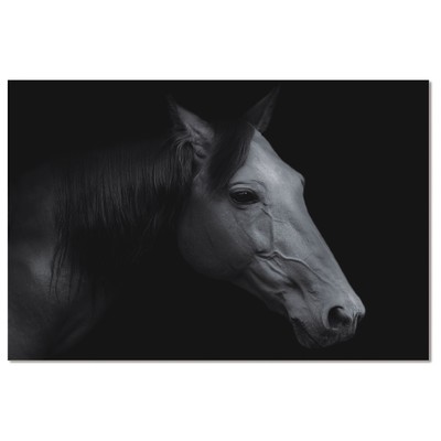Wall Art Bellini Modern Living 82410550 Blackebony Animal animals horse horses le 