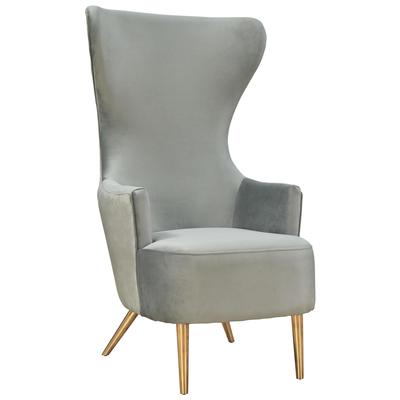 Chairs Contemporary Design Furniture Julia-Chair Velvet Wood Grey CDF-A2046-GR 793611831414 Accent Chairs Gold Gray Grey Accent Chairs Accent 