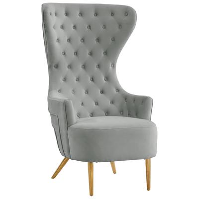 Chairs Contemporary Design Furniture Jezebel-Chair Velvet Grey CDF-IHS68207 793611833944 Accent Chairs Gray Grey Accent Chairs Accent 