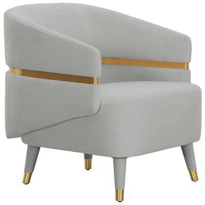 Chairs Contemporary Design Furniture Ayla-Chair Pine Stainless Steel Velvet Grey CDF-IHS68544 793580623249 Accent Chairs Gold Gray Grey Accent Chairs Accent 