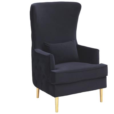 Chairs Contemporary Design Furniture Alina-Chair Plywood Velvet Black CDF-S6479 793611831544 Accent Chairs Black ebonyGold Accent Chairs Accent 