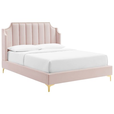 Modway Furniture Beds, Gold,Pink,Fuchsia,blush, Metal,Upholstered,Wood, Platform, Queen, Beds, 889654973614, MOD-6412-PNK