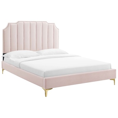 Modway Furniture Beds, Gold,Pink,Fuchsia,blush, Metal,Upholstered,Wood, Platform, Full,Queen, Beds, 889654265931, MOD-6583-PNK