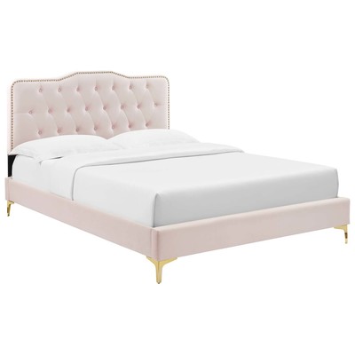 Beds Modway Furniture Amber Pink MOD-6775-PNK 889654237112 Beds Gold Pink Fuchsia blush Metal Upholstered Wood Platform Queen 