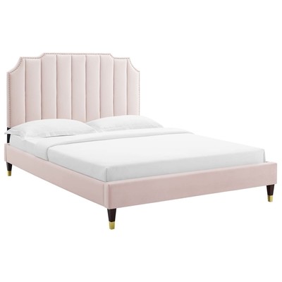 Modway Furniture Beds, Gold,Pink,Fuchsia,blush, Metal,Upholstered,Wood, Platform, Full,Queen, Beds, 889654266976, MOD-6889-PNK