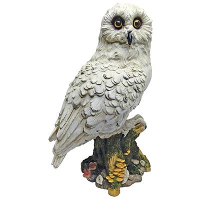 Toscano Decorative Figurines and Statues, Whitesnow, Statue, Bird, Complete Vanity Sets, Themes > Animal Décor > Bats & Birds, 846092070794, QM12509,5-15inches