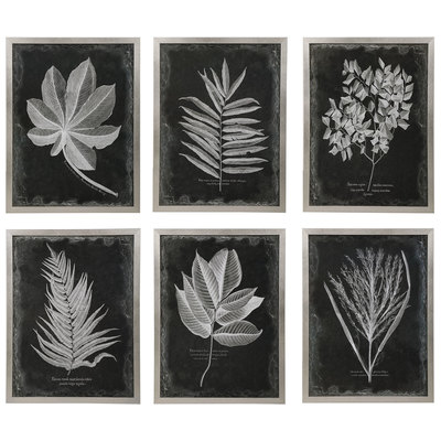 Uttermost Wall Art, Silver, Floral,flower,flowers,bloom,blooming,orchid,rose,tulip,succulent,leaf,leaves, Prints,Print,printed,acrylic picture, Complete Vanity Sets, PLASTIC, GLASS, KT BOARD, Art, Leaf Prints, 79297733