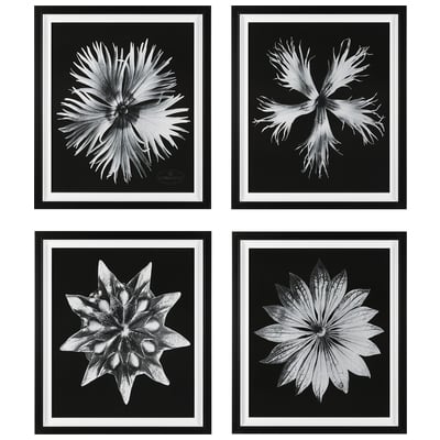 Wall Art Uttermost Contemporary Floret PLASTIC GLASS KT BOARD PAPE Black And White Floral Prints Art 41427 792977414279 Floral Prints Floral flower flowers bloom bl Prints Print printed acrylic p 
