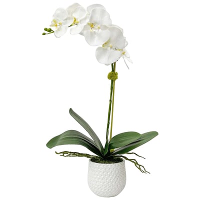 Botanicals Uttermost Cami Orchid POLYESTER CERAMIC FOAM MOSS B A Gracefully Arching Stem Of W Accessories 60178 792977601785 Botanicals Whitesnow Orchid Boxwood Ceramic Polyfoam Box Bamboo Boxwood Cypress Moss 