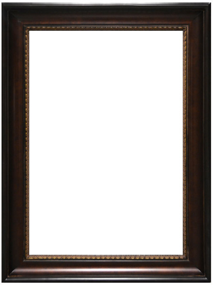 picture frame with flowers inside AFD FRAMES Multi-Colored