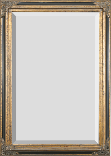 cool mirror frames AFD Mirrors Antique Gold, Black