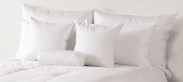 pillow between mattress and headboard Ogallala Bed Pillows White