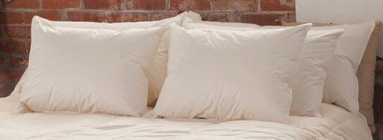 extra long king size pillows Ogallala Bed Pillows Ecru