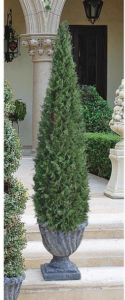 cypress cone topiary Toscano Furniture > Outdoor Furniture
