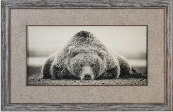 cool wall stickers Uttermost Bear Print Frame Is Distressed Pine With Heavy White Glaze Hangup.   Inner Fillet Is Natural Wood And A Burlap Mat.