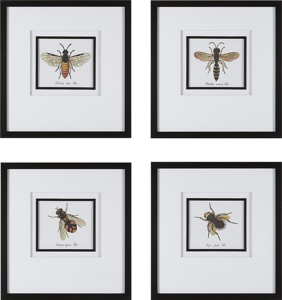 glass wall decor Uttermost Animal Print White Matting, Black Fillet, Black Frame, Antique Bee Scientific Prints, Bugs, Updated Traditional, Under Glass