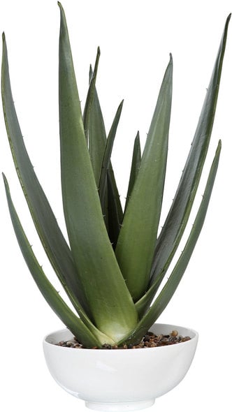 little artificial flowers Uttermost Artificial Flowers / Centerpiece A Contemporary Aloe Vera Statement Piece, Accented With Natural Stones Set Into A Glossy White Textured Bowl.