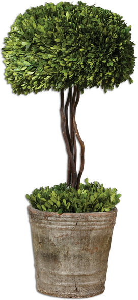 fake fall flowers Uttermost Trees-Greenery Preserved While Freshly Picked, Natural Evergreen Foliage Looks And Feels Like Living Boxwood. Single Topiary Is Potted In Mossy Stone Finished, Terra Cotta Planter. Indoor Use Only. Constance Lael-Linyard