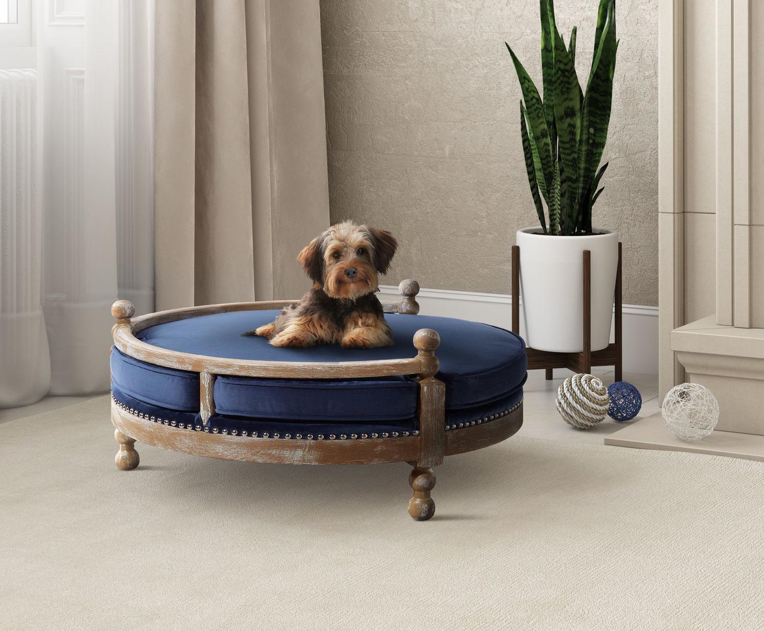 doggie stairs for the bed Contemporary Design Furniture Pet Furniture Navy