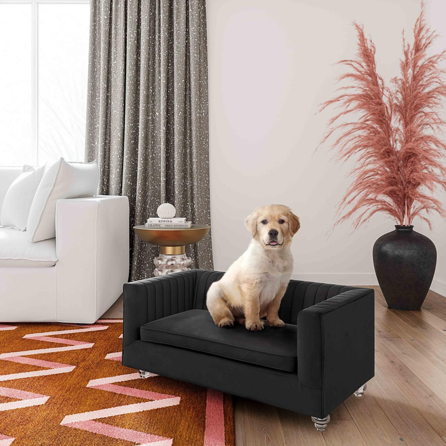 dog on the mat Contemporary Design Furniture Pet Furniture Black