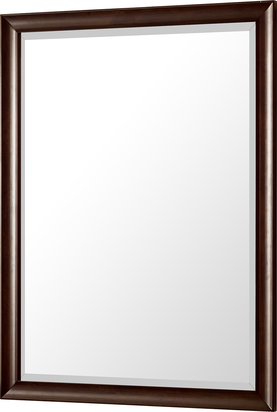 50 vanity mirror James Martin Mirror Transitional