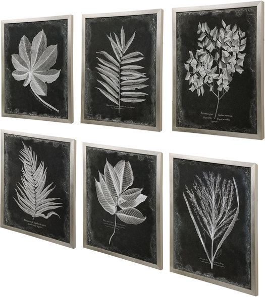 modern wall art decor Uttermost Leaf Prints Champagne Silver Frame.  Prints Under Glass.