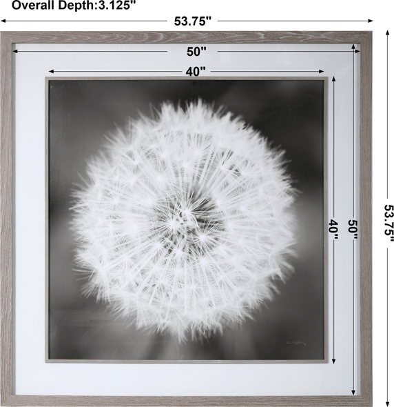 full wall art prints Uttermost Floral Prints Driftwood Look To Frame And Fillet, Large White Matte, Black And White Print Of Dandelion