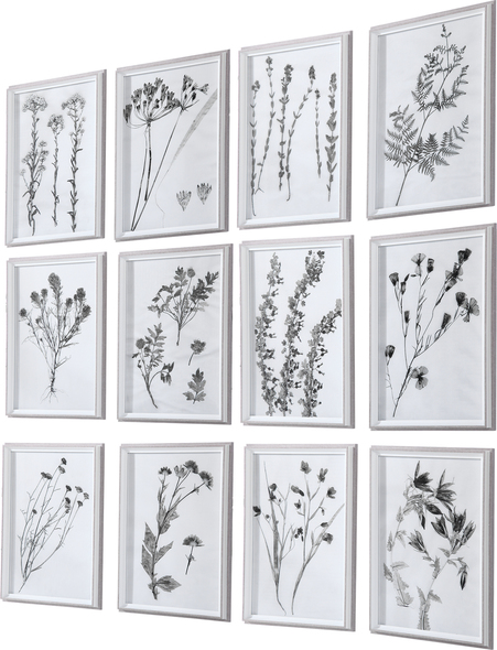 large outdoor wall decor Uttermost Botanical Prints Framed Prints Under Glass, Black And White, Wood Outer Frame, White Inner Frame