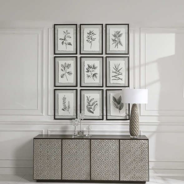 used wall art Uttermost Botanical Prints Black And White Botanical Sketches With Deckled Edge, Clear Glass, Matte Black Finished Frame