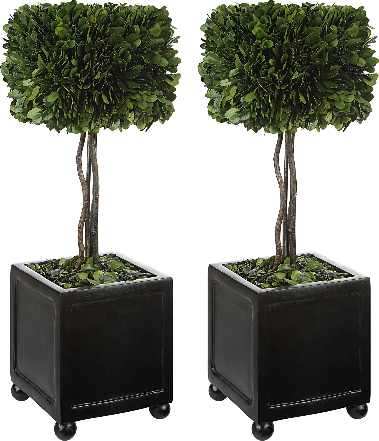 nice flower pots Uttermost Trees-Greenery Natural Evergreen Foliage Preserved While Freshly Picked, Looks And Feels Like Living Boxwood. Supported By Natural Willow Branches, Two Square Topiaries Are Potted In Contemporary Ball Footed Planters Finished In Satin Black. For Indoor Use Only.