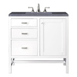 grey tall bathroom cabinet James Martin Vanity Glossy White Traditional, Transitional