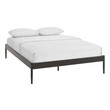 Modway Furniture Beds, brown, ,sable, 