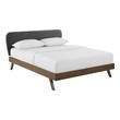 contemporary bed frame queen Modway Furniture Beds Gray