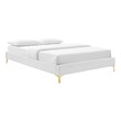 twin adjustable frame Modway Furniture Beds White