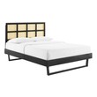 twin mattress and box springs Modway Furniture Beds Black