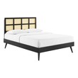 connected twin beds Modway Furniture Beds Black