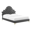 bed frame double sale Modway Furniture Beds Charcoal
