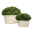 boxwood ball planter Uttermost Trees-Greenery Preserved While Freshly Picked, Natural Evergreen Foliage Looks And Feels Like Living Boxwood, Potted In Mossy Stone Finished, Terra Cotta Planters. Indoor Use Only. Constance Lael-Linyard