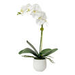 flower pot planters Uttermost Botanicals A Gracefully Arching Stem Of White Orchids With Reindeer Moss Accents Over A Bed Of Naturally Preserved Moss, Placed In A Contemporary Textured White Ceramic Pot. Container Is 4.5" W X 4.5" H X 4.5" D.