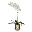 artificial floral arrangements for living room Uttermost Artificial Flowers / Centerpiece A Gracefully Arching Stem Of White Orchids With Reindeer Moss Accents Over A Bed Of Naturally Preserved Moss, Placed In A Contemporary Hammered Brass Metal Pot. Container Is 4.5" W X 4.5" H X 4.5" D.